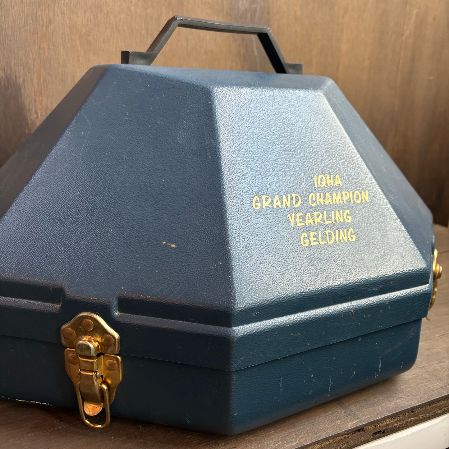 Blue Adjustable Travel Hat Box