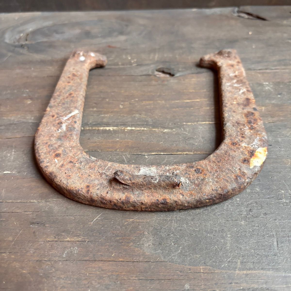 Vintage Iron "Wonder" Horseshoe