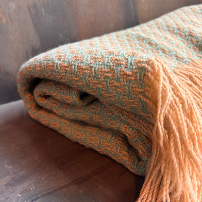Vintage Pendleton Wool Fringed Blanket