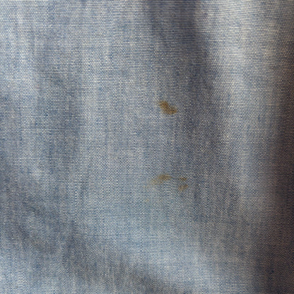 Abercrombie and Fitch Duck Button Up