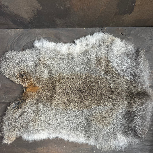 Small Brown Rabbit Pelt