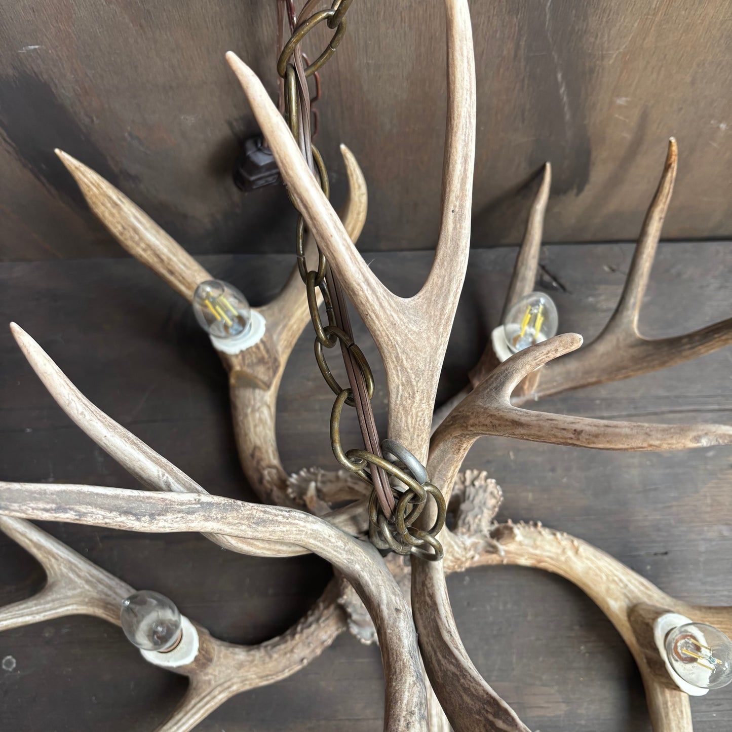 Antler Chandelier