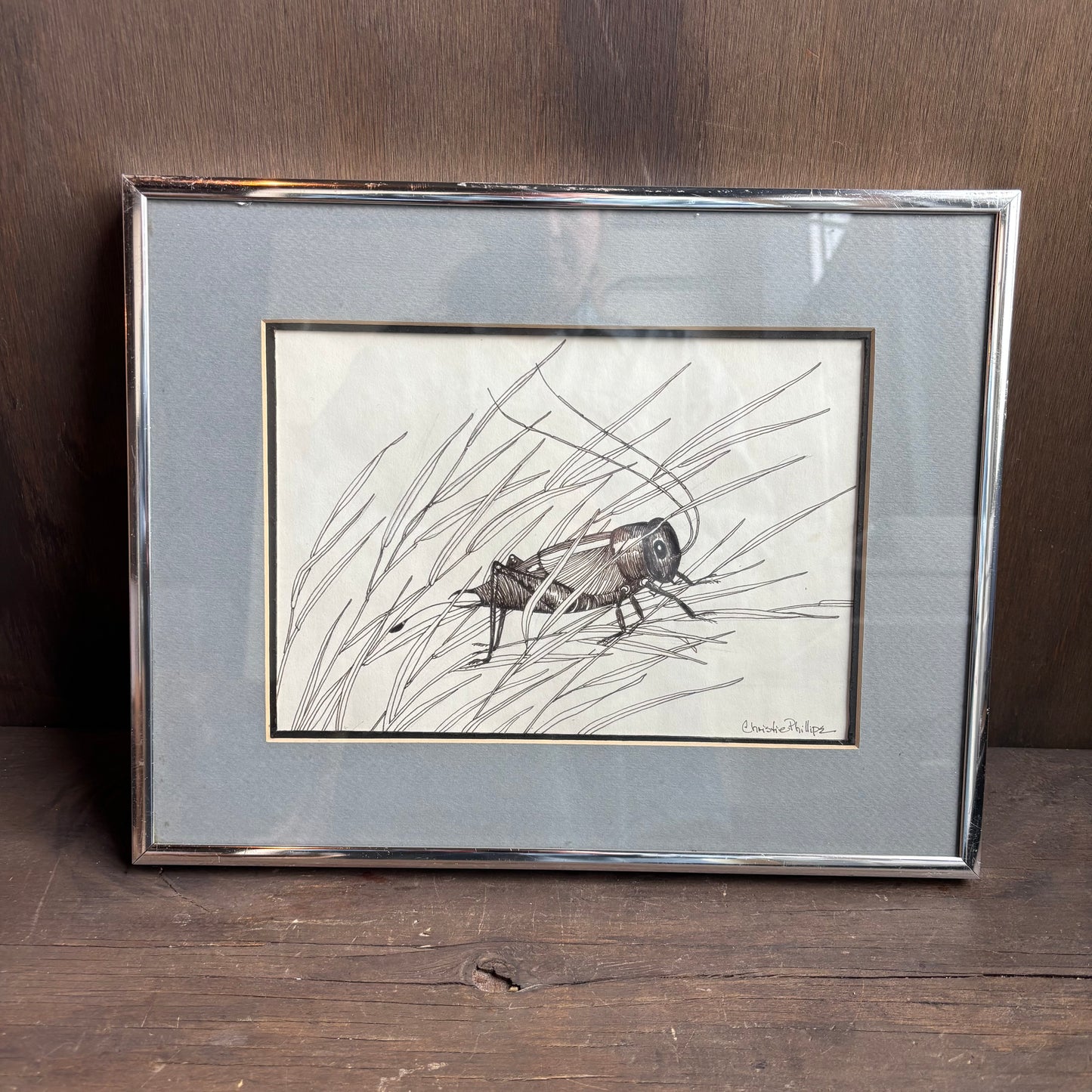 Cricket Framed Artwork