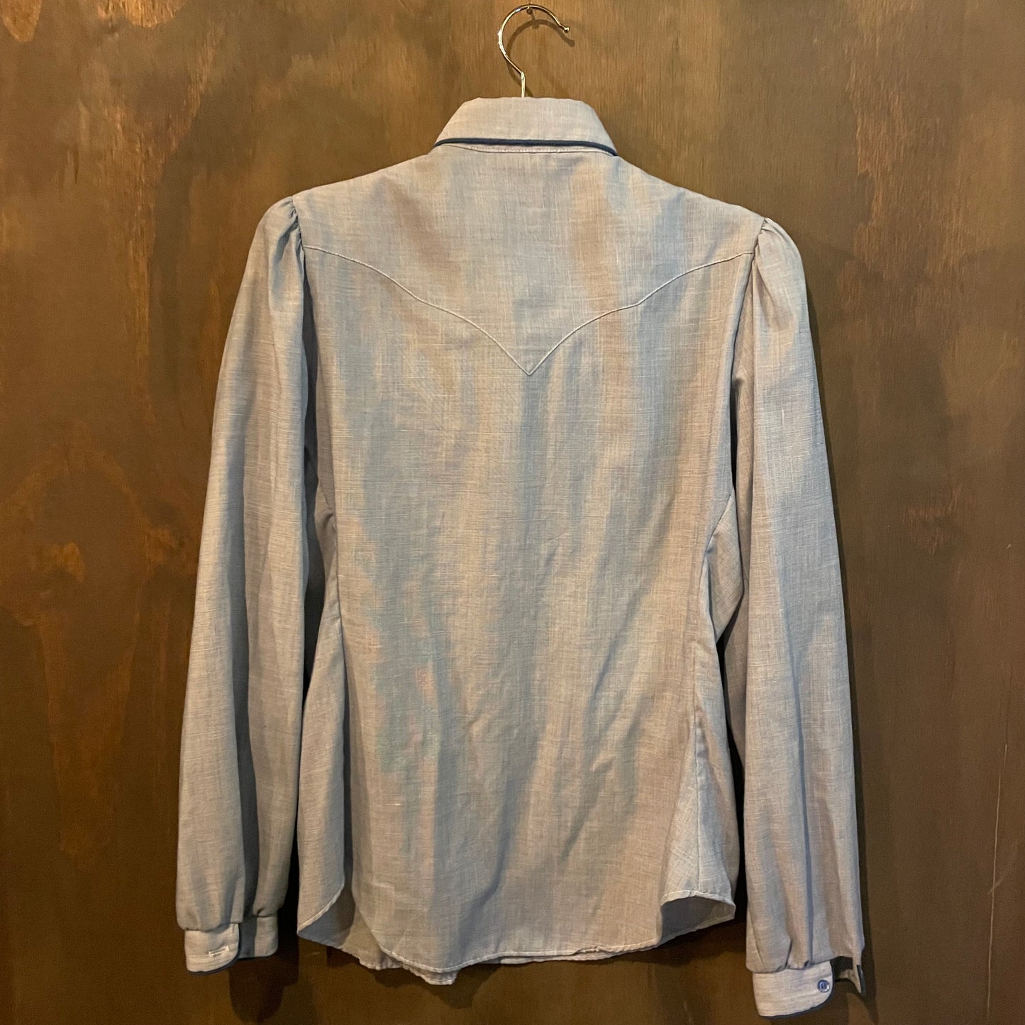 Vintage Panhandle slim ruffle blue button down