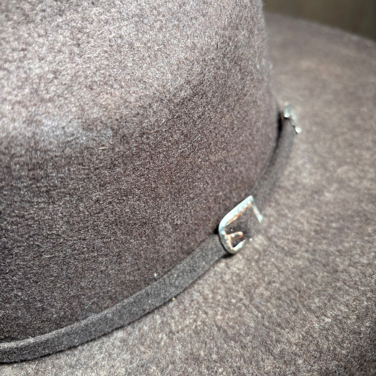 Brown Felt Hat