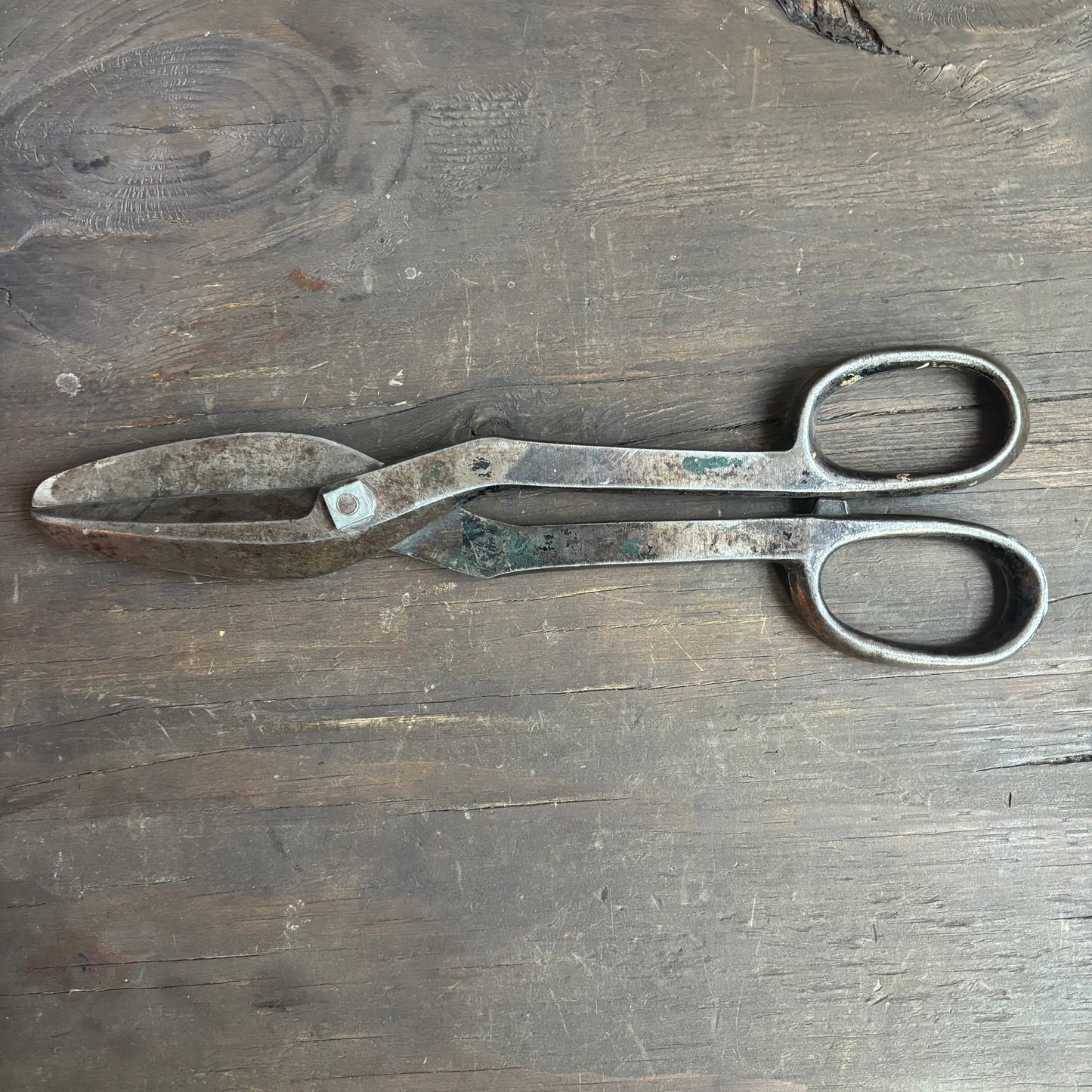 Bergman Buffalo Shears