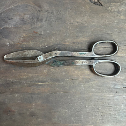 Bergman Buffalo Shears