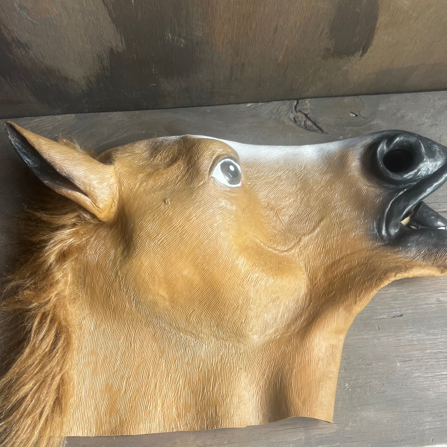 Horse Head Mask