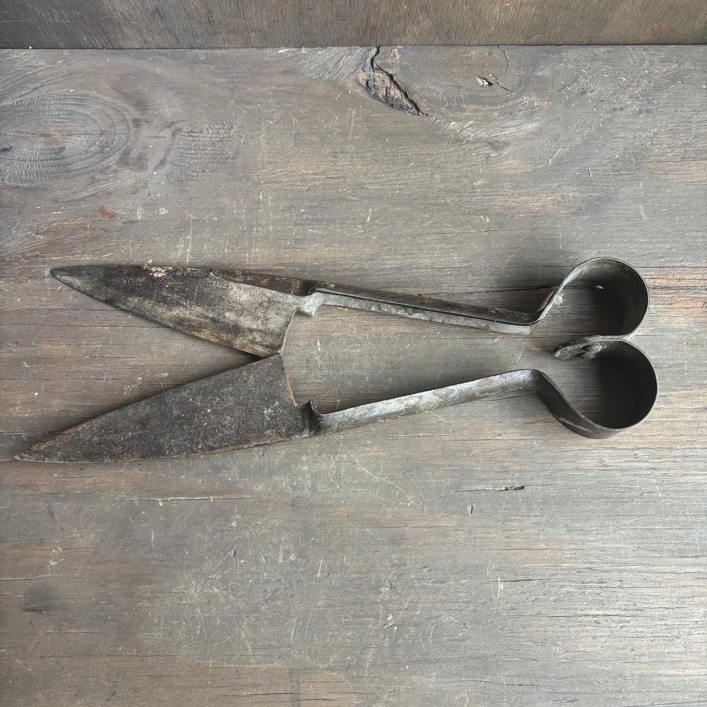 Antique Sheep Sheers