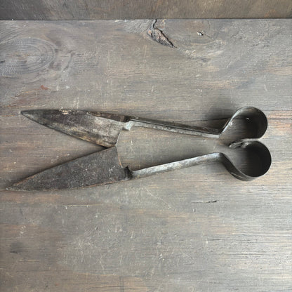 Antique Sheep Sheers
