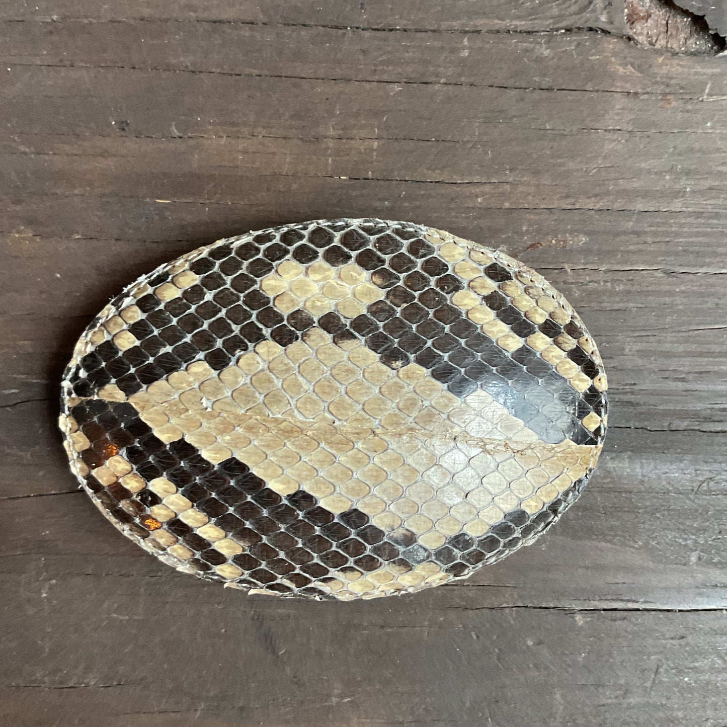 Snakeskin Belt Buckle