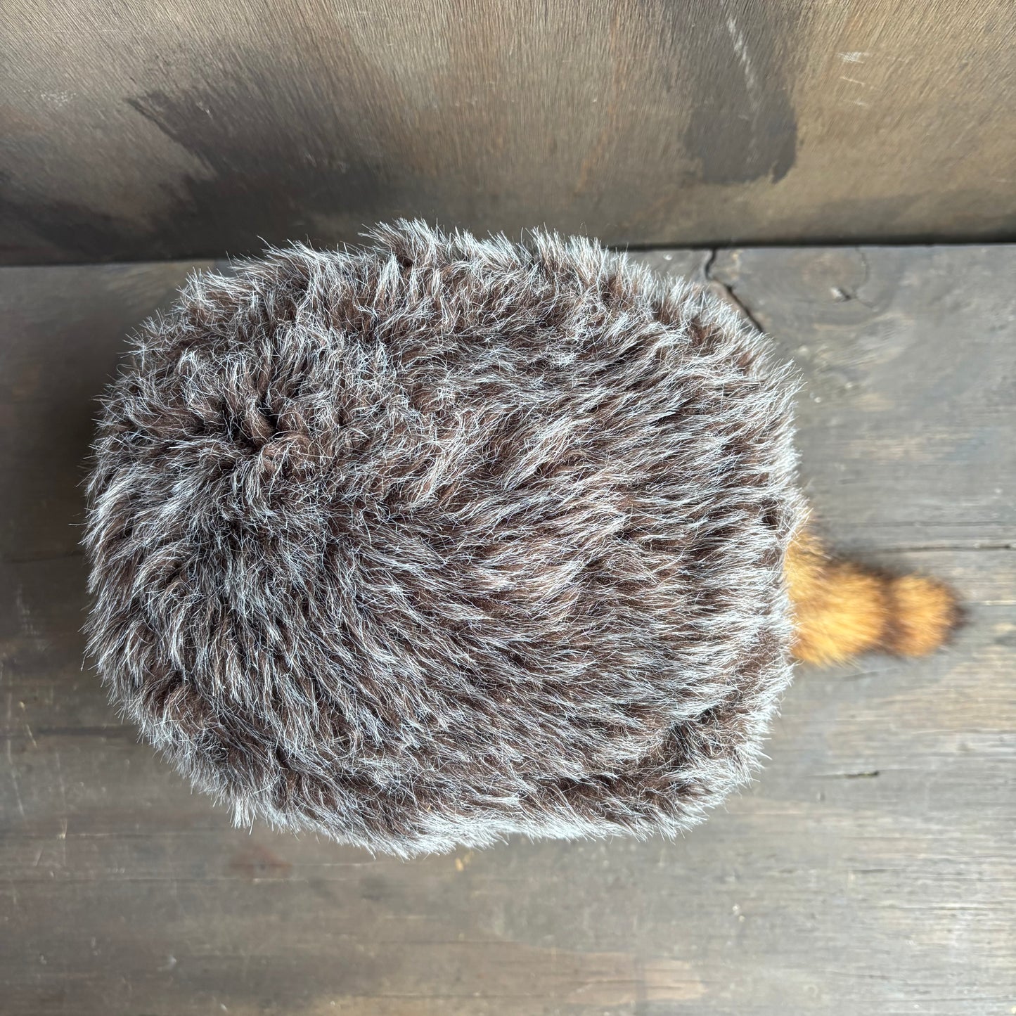 Coonskin Cap