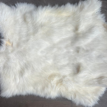 Small White Rabbit Pelt