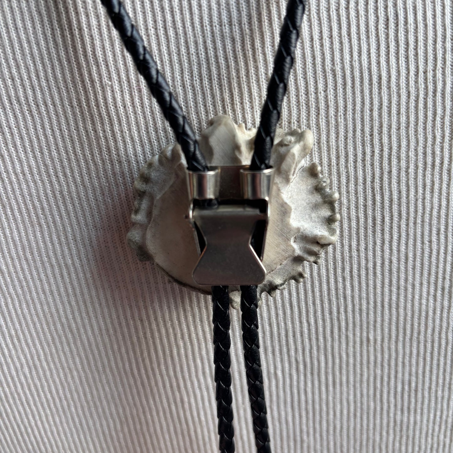 Bear Bolo on Black Leather Tie