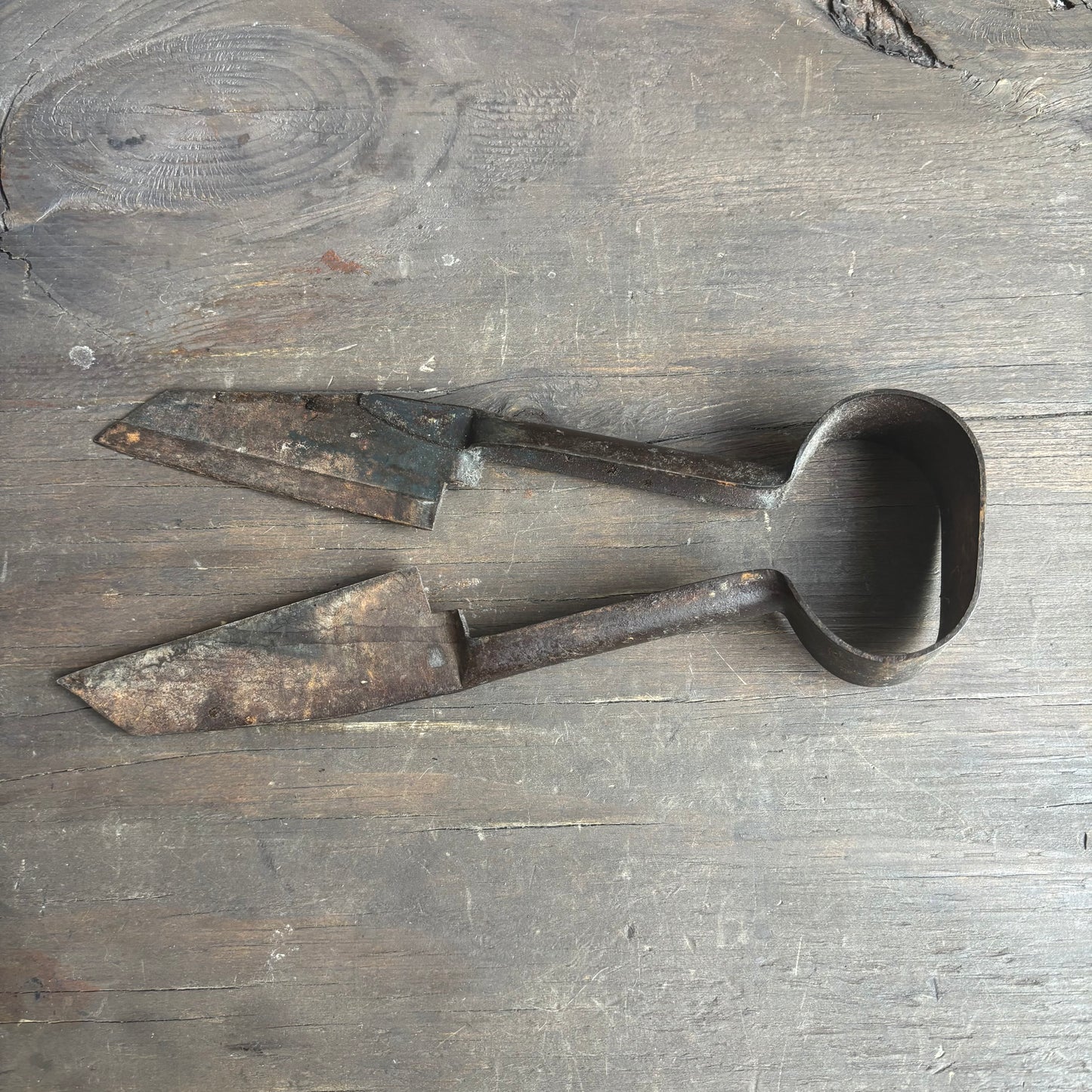 Antique Sheep Sheers