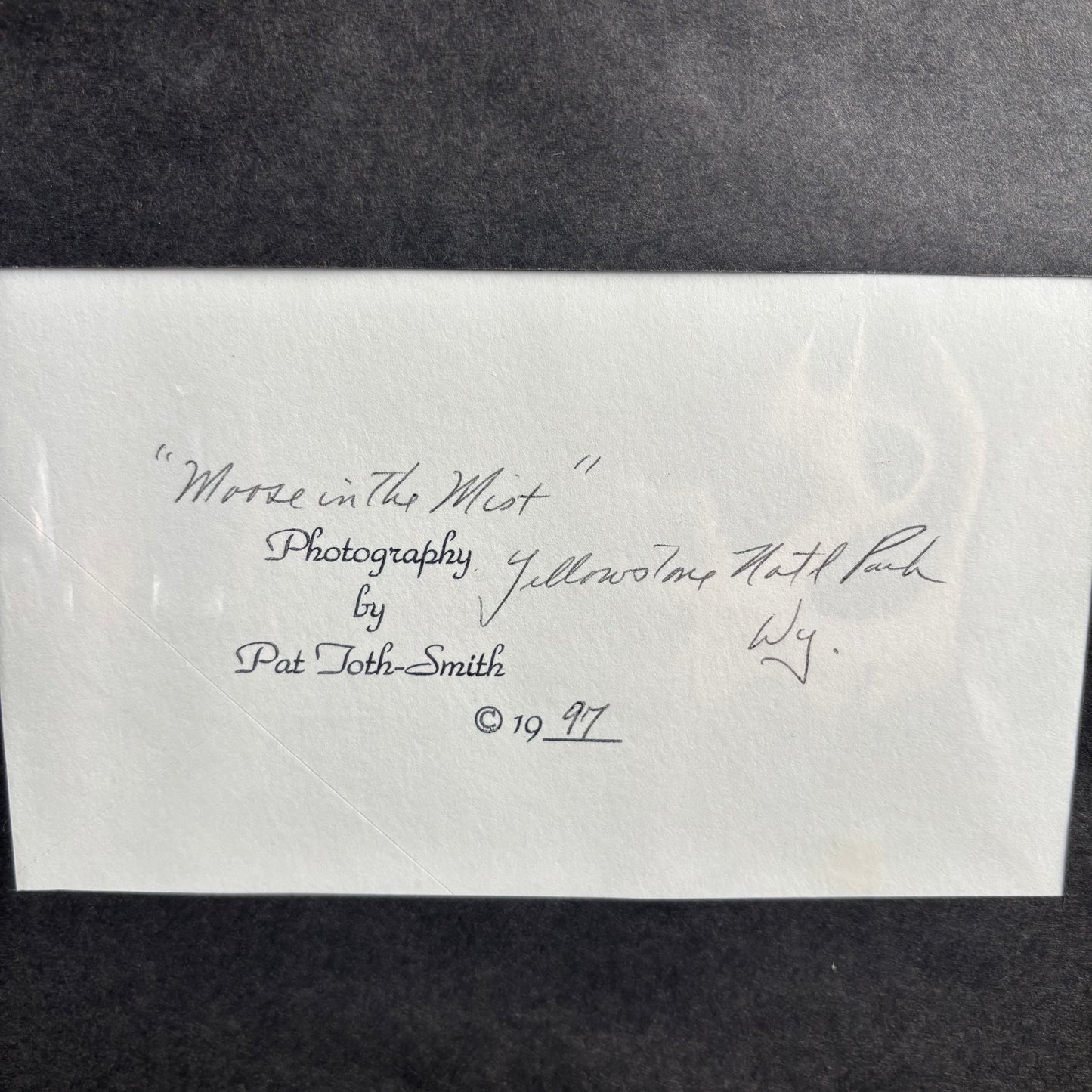 "Moose in The Mist" Framed Photo