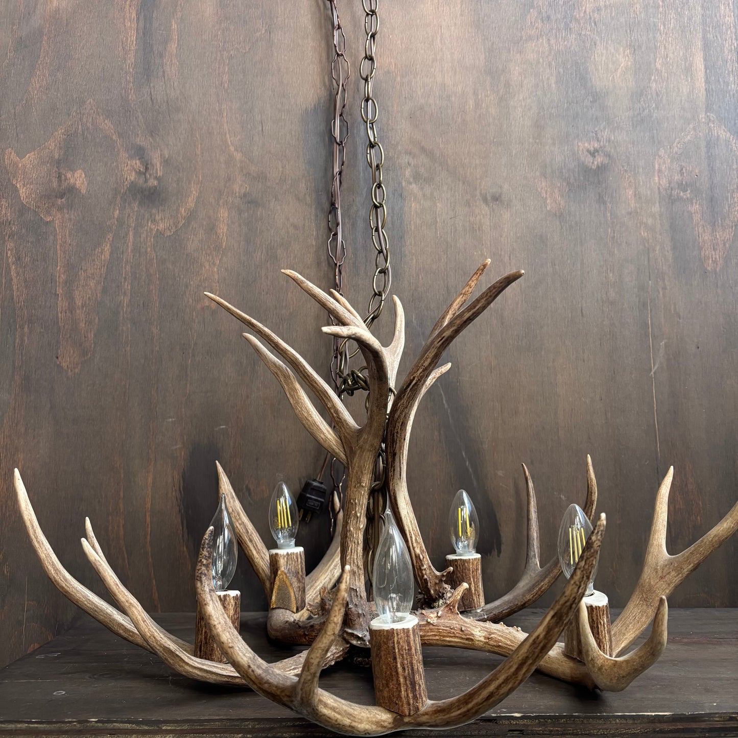 Antler Chandelier