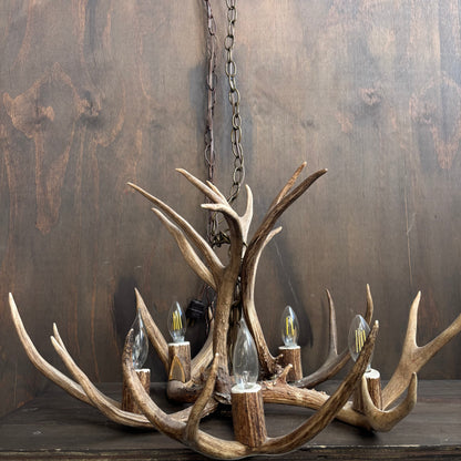 Antler Chandelier
