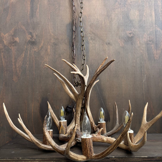 Antler Chandelier
