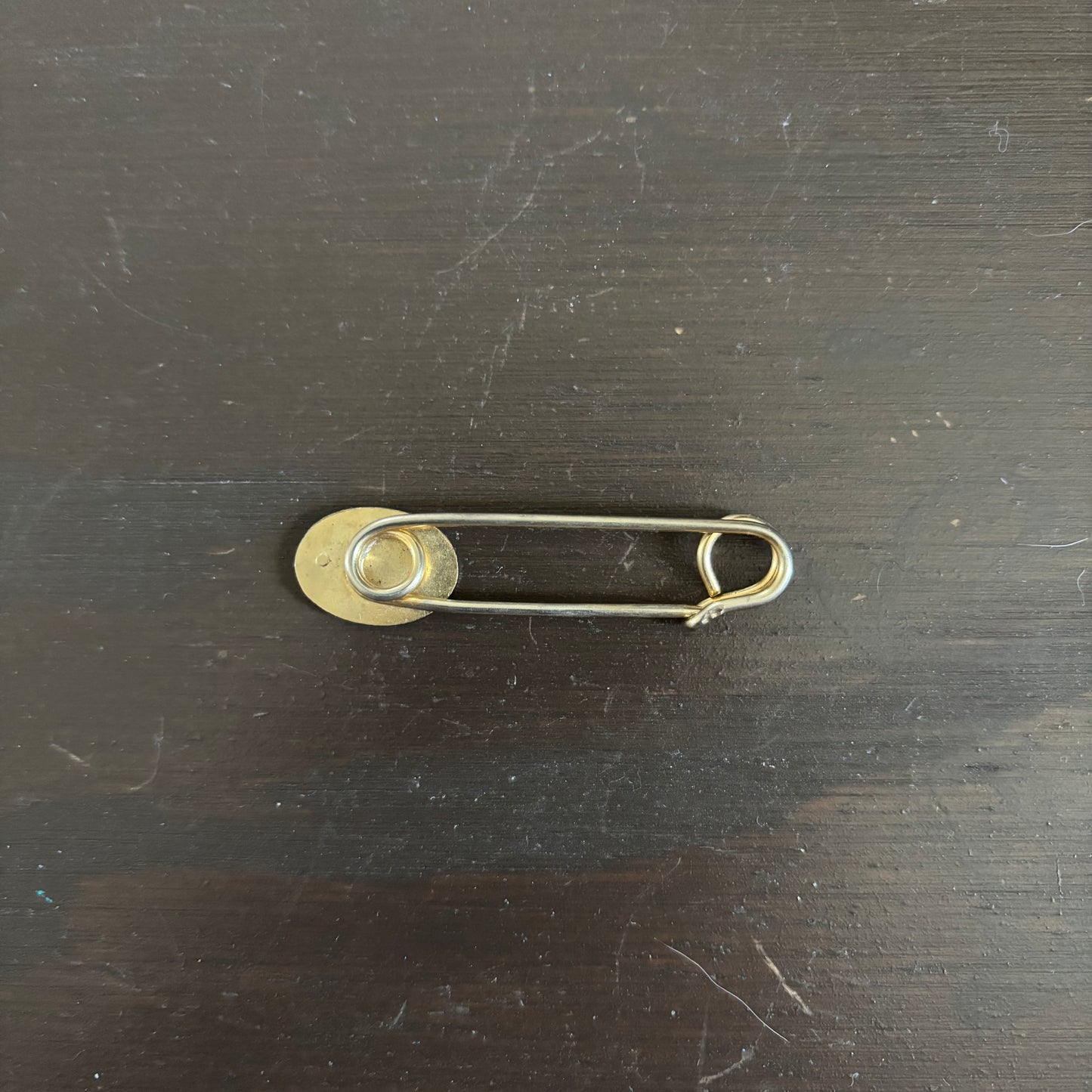 Gold Tone Oval Pin