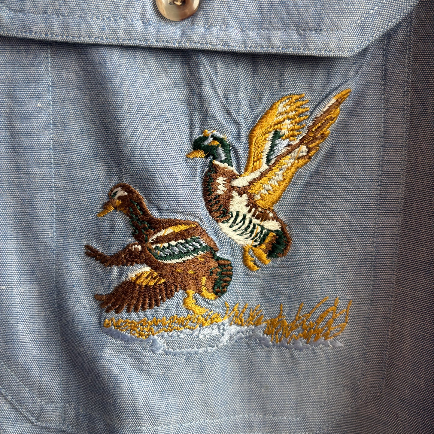 Abercrombie and Fitch Duck Button Up