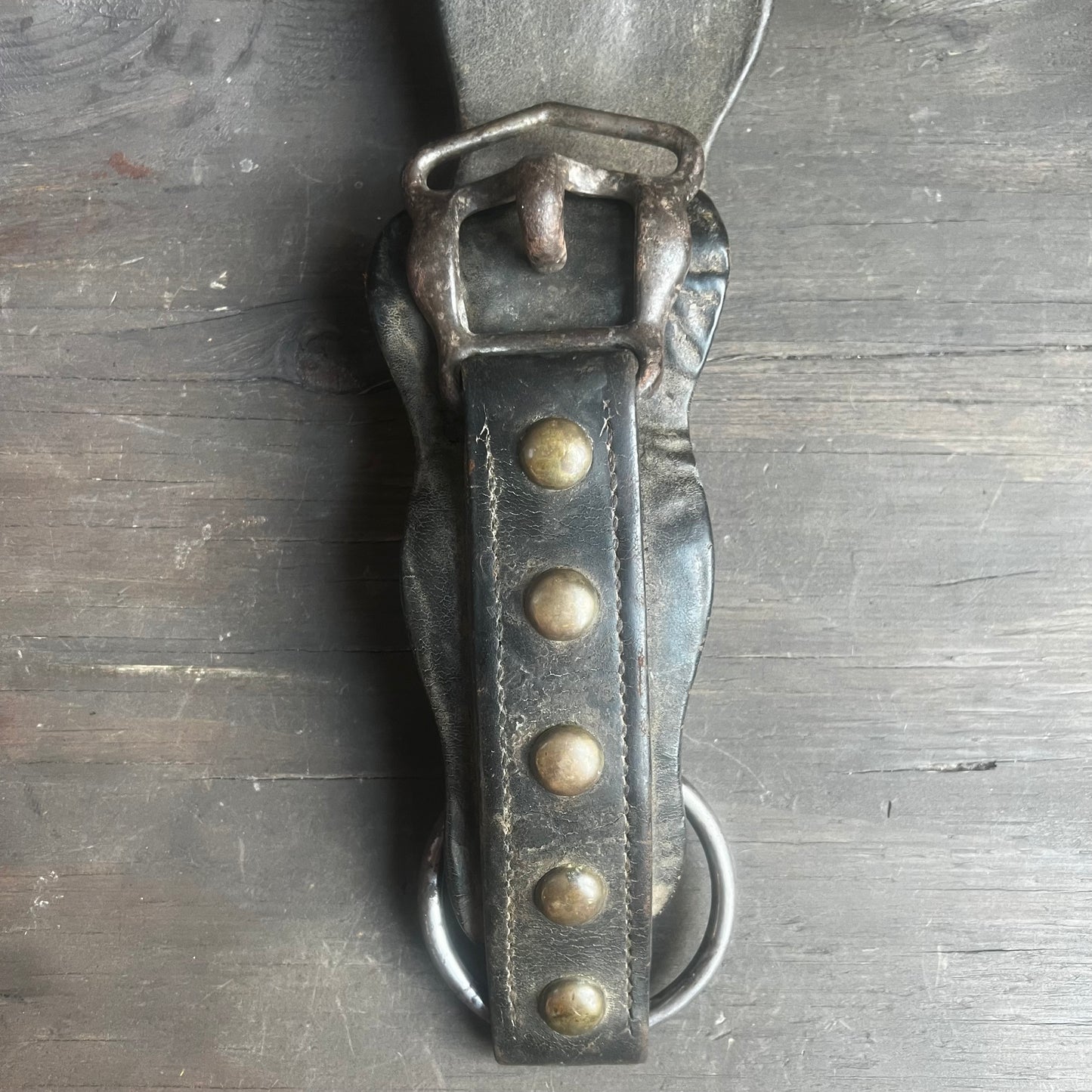 Vintage Horse Bridle