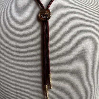 Fraternal Order of Eagles Bolo on Brown Tie