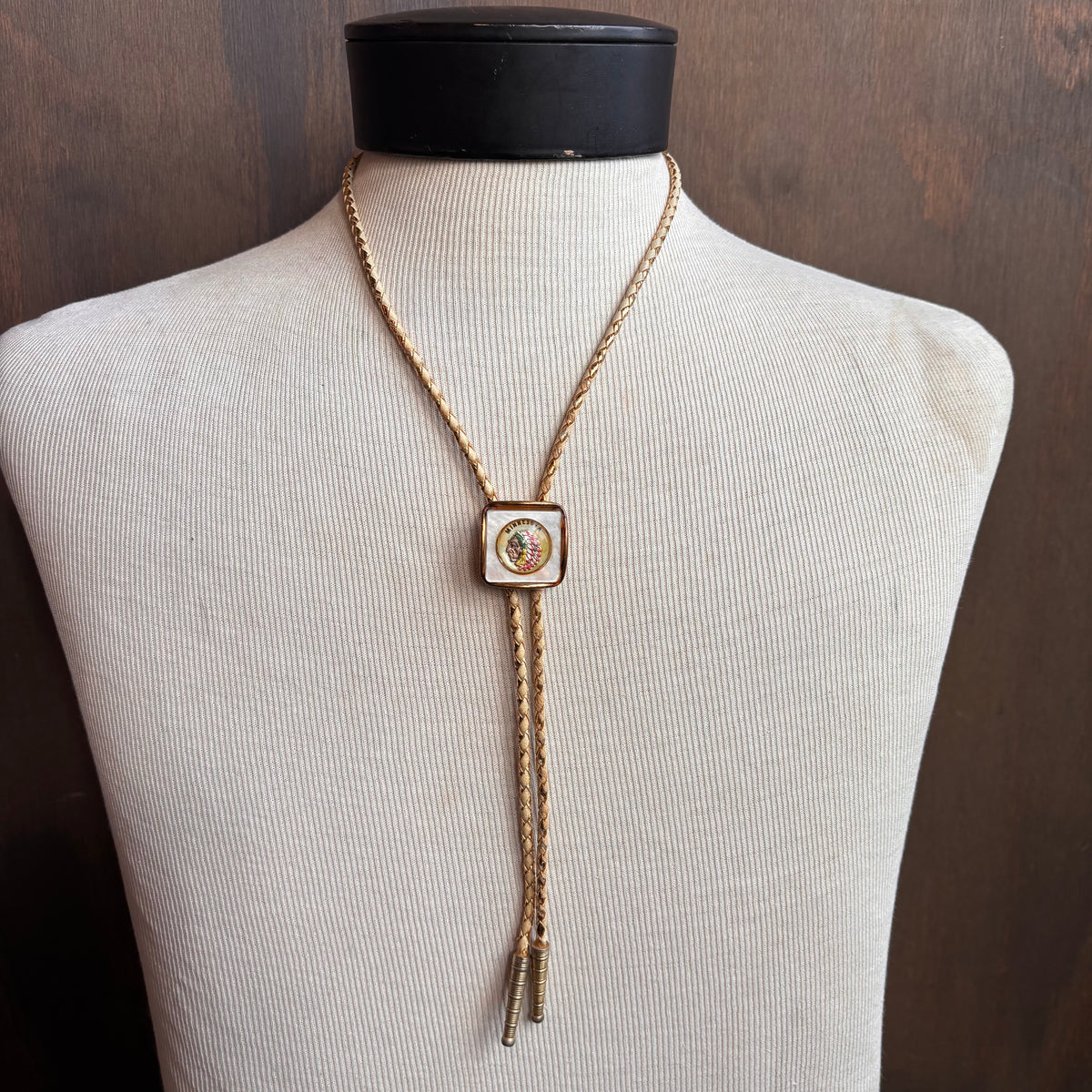 Vintage Minnesota Bolo on Two-Tone Metallic Tie