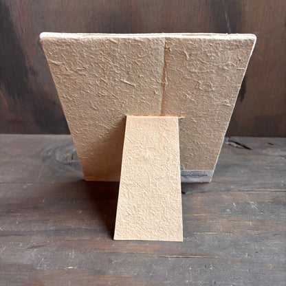 Paper Pulp Frame