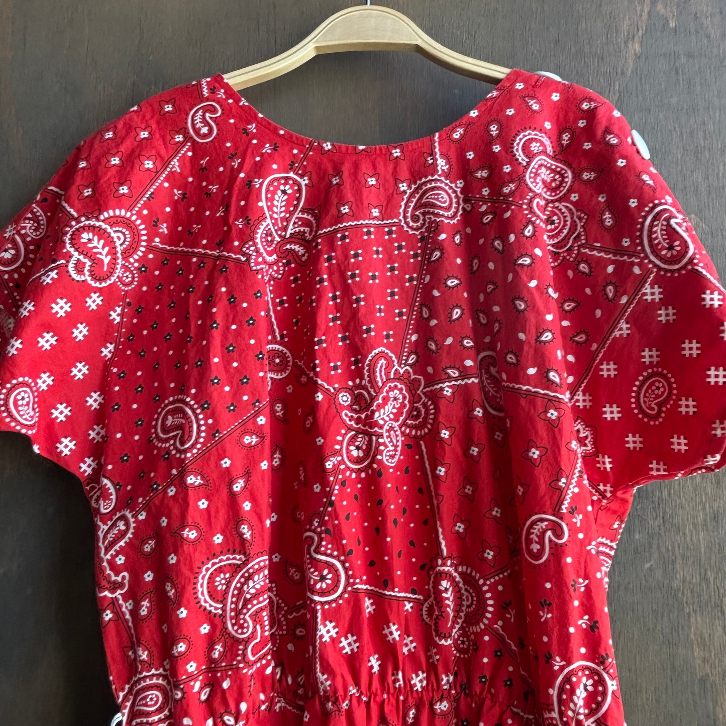 Vintage Red Paisley Dress
