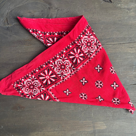 Vintage Red Paisley Bandana