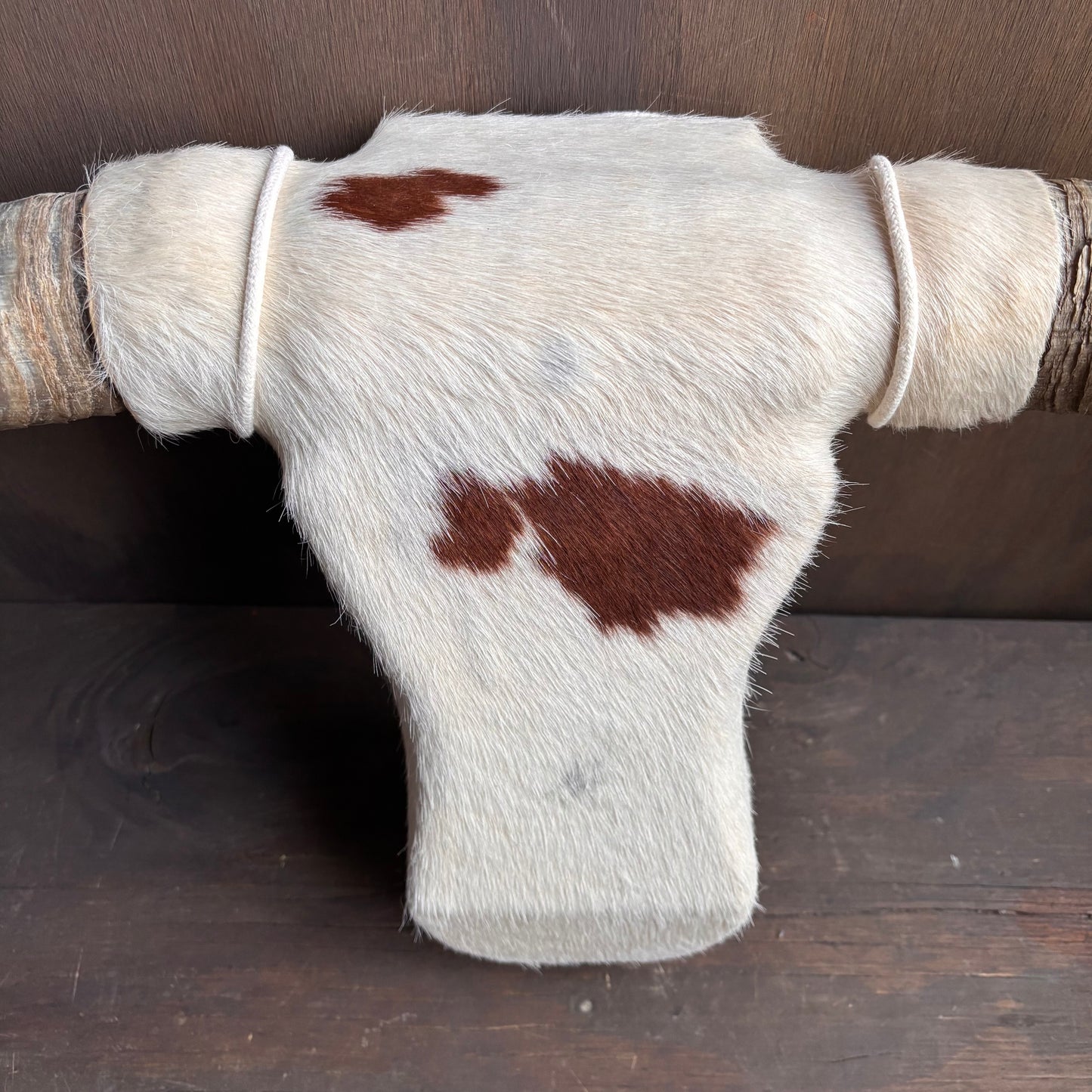 Cowhide Covered Bust with Longhorns
