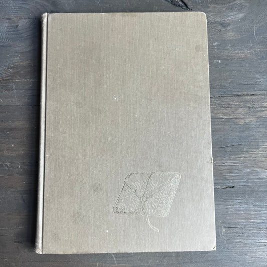Diary of an Early American Boy Book