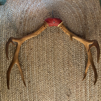 Deer Antlers
