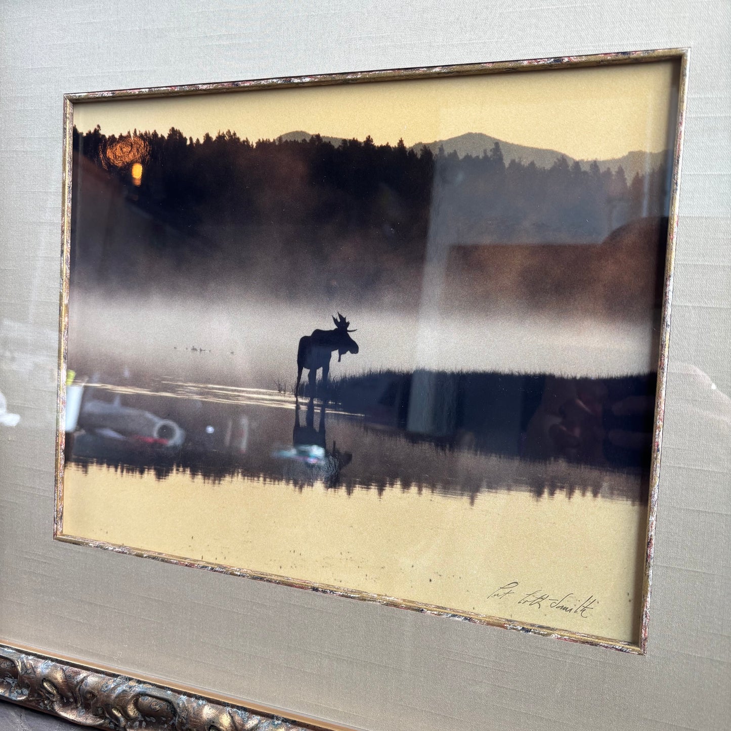 "Moose in The Mist" Framed Photo