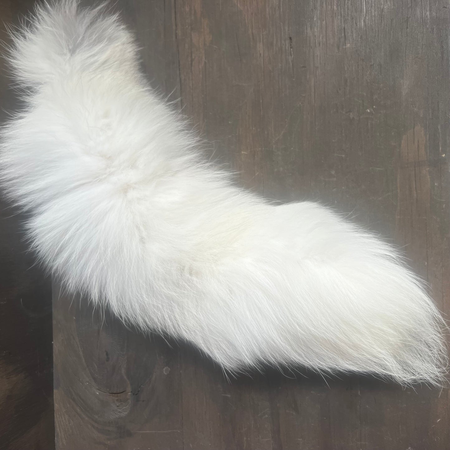 White Fox Tail