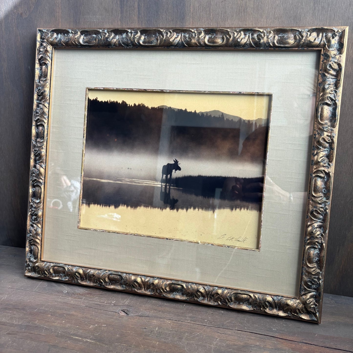 "Moose in The Mist" Framed Photo