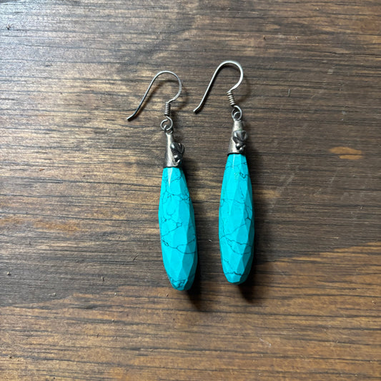 Faux Turquoise Long Teardrop Earring