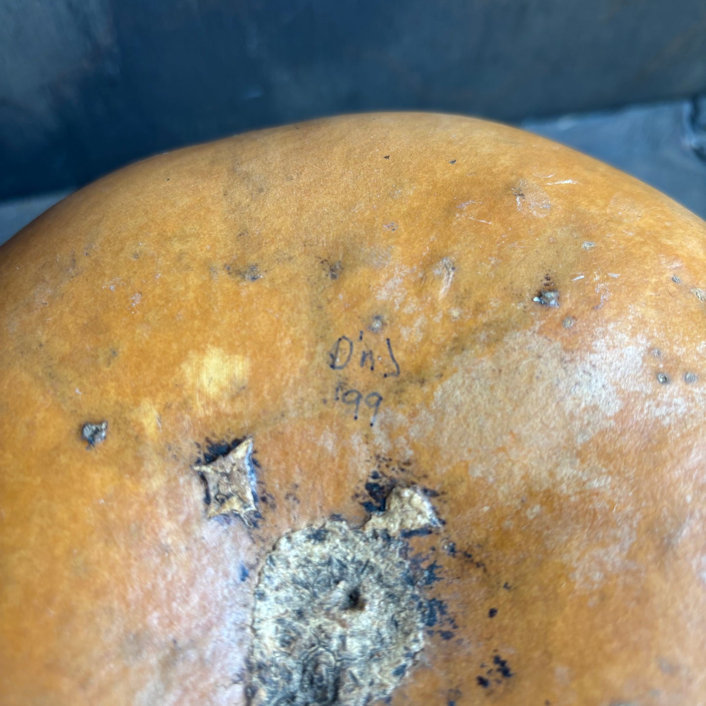Hand Painted Gourd with Buffalos