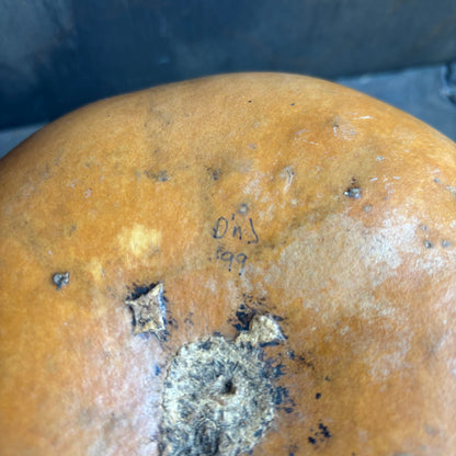 Hand Painted Gourd with Buffalos