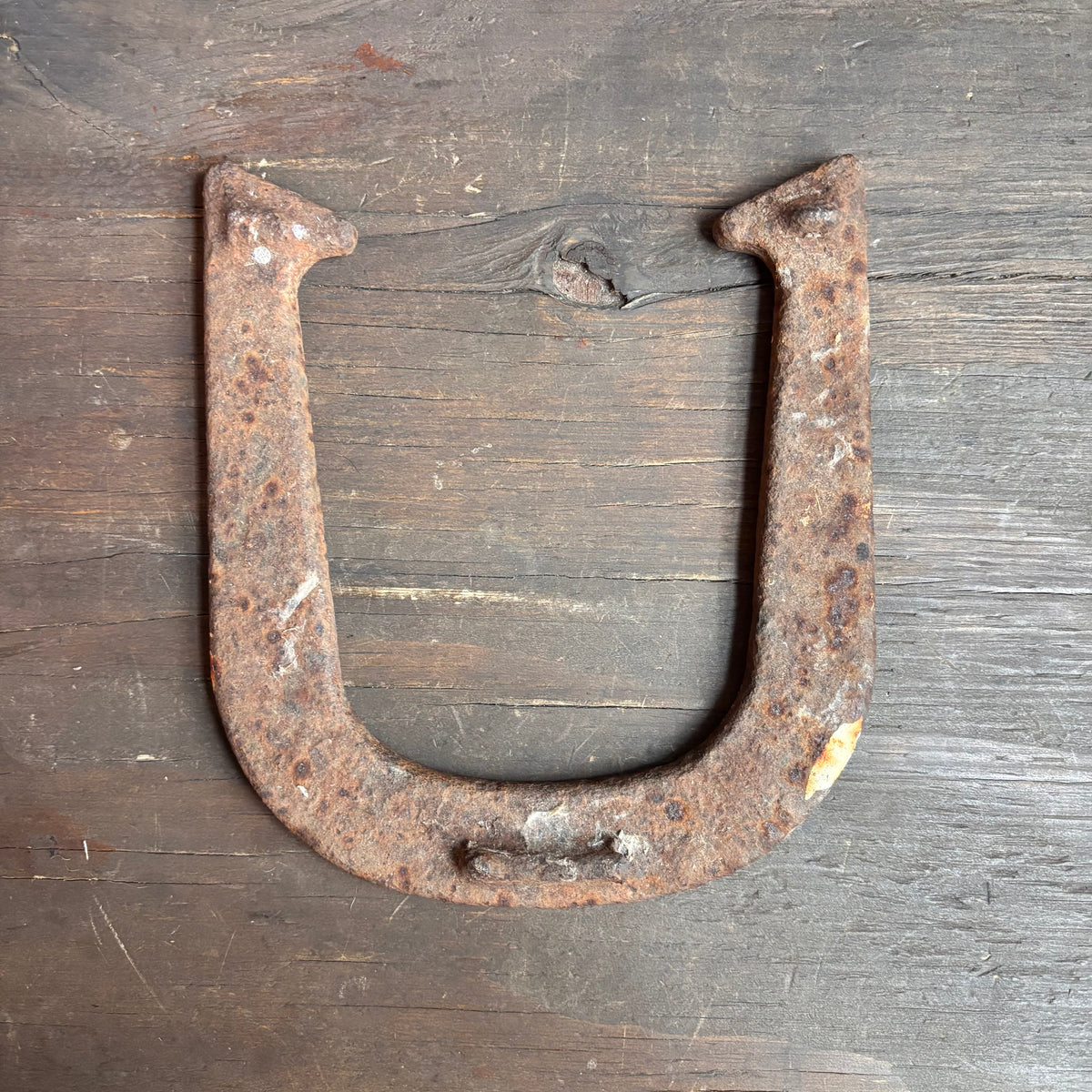 Vintage Iron "Wonder" Horseshoe
