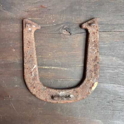 Vintage Iron "Wonder" Horseshoe