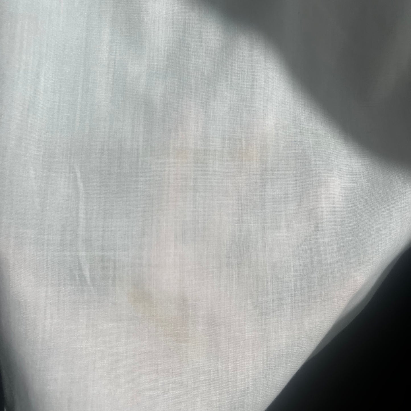 Circle T Western White Blouse