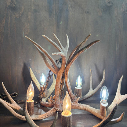 Antler Chandelier