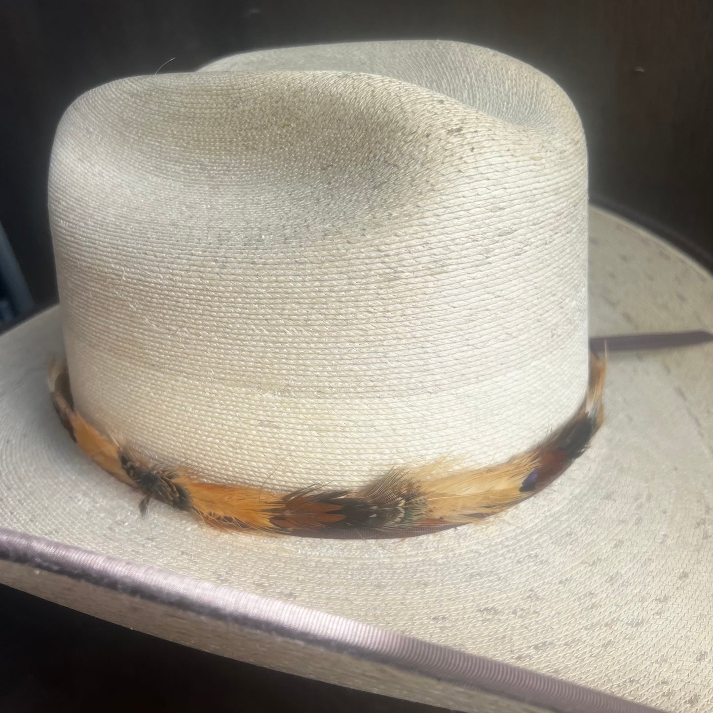 Vintage Feather Hatband