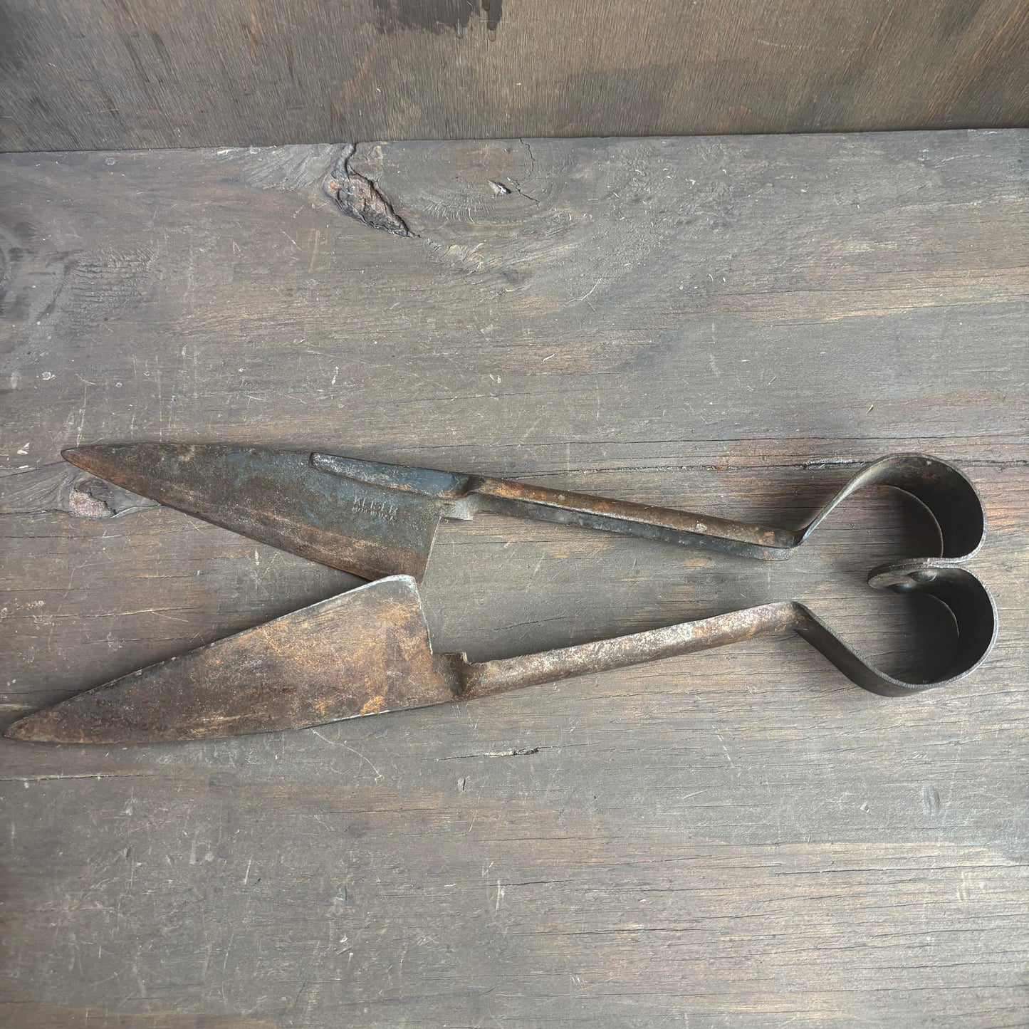 Antique Sheep Sheers