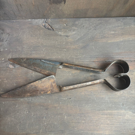Antique Sheep Sheers