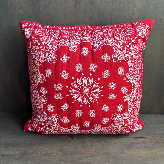 Blue and Red Paisley Throw Pillow