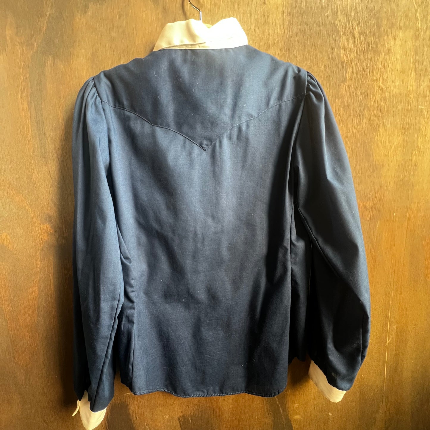 Panhandle Slim White and Blue Western Shirt