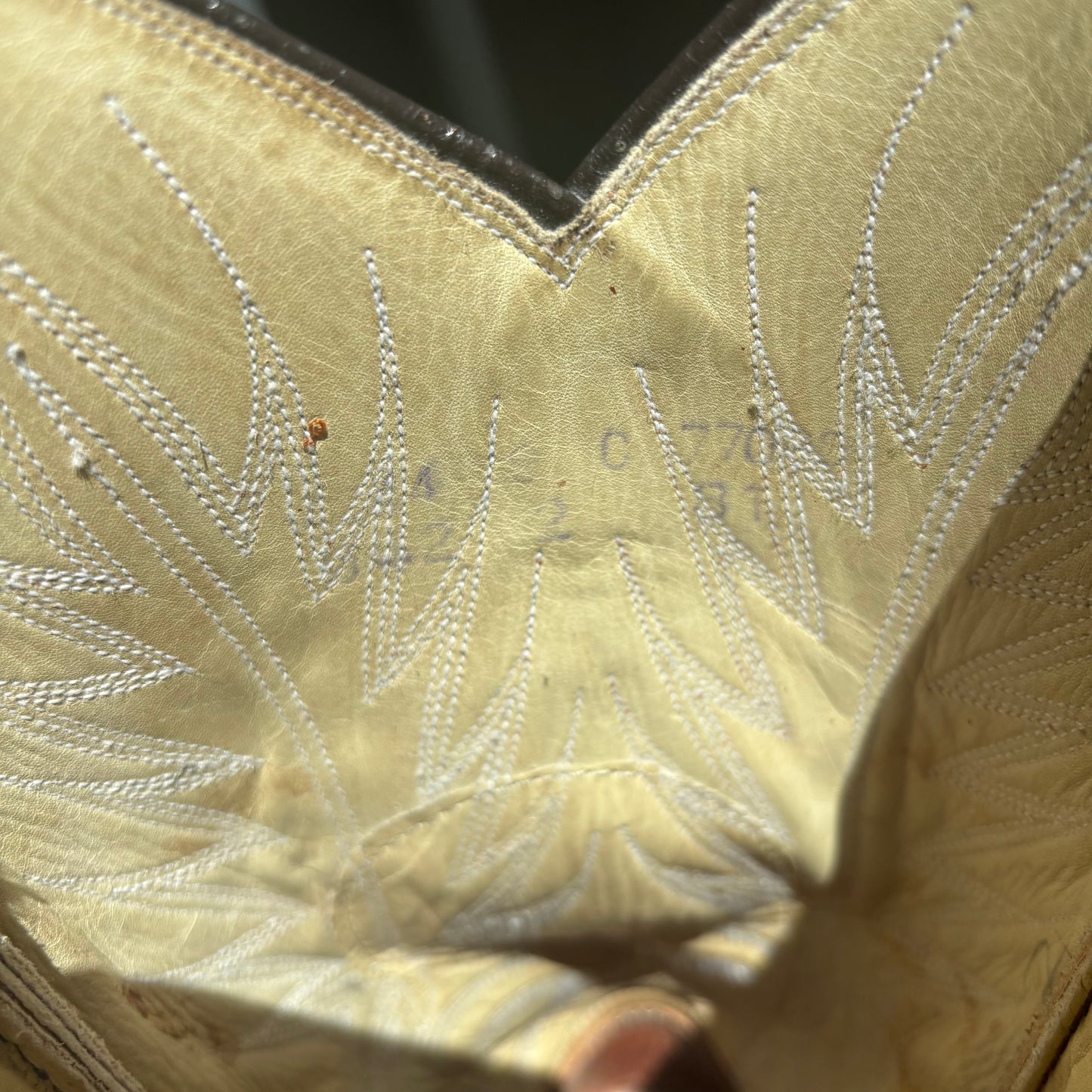Dan Post Brown Reptile Boot